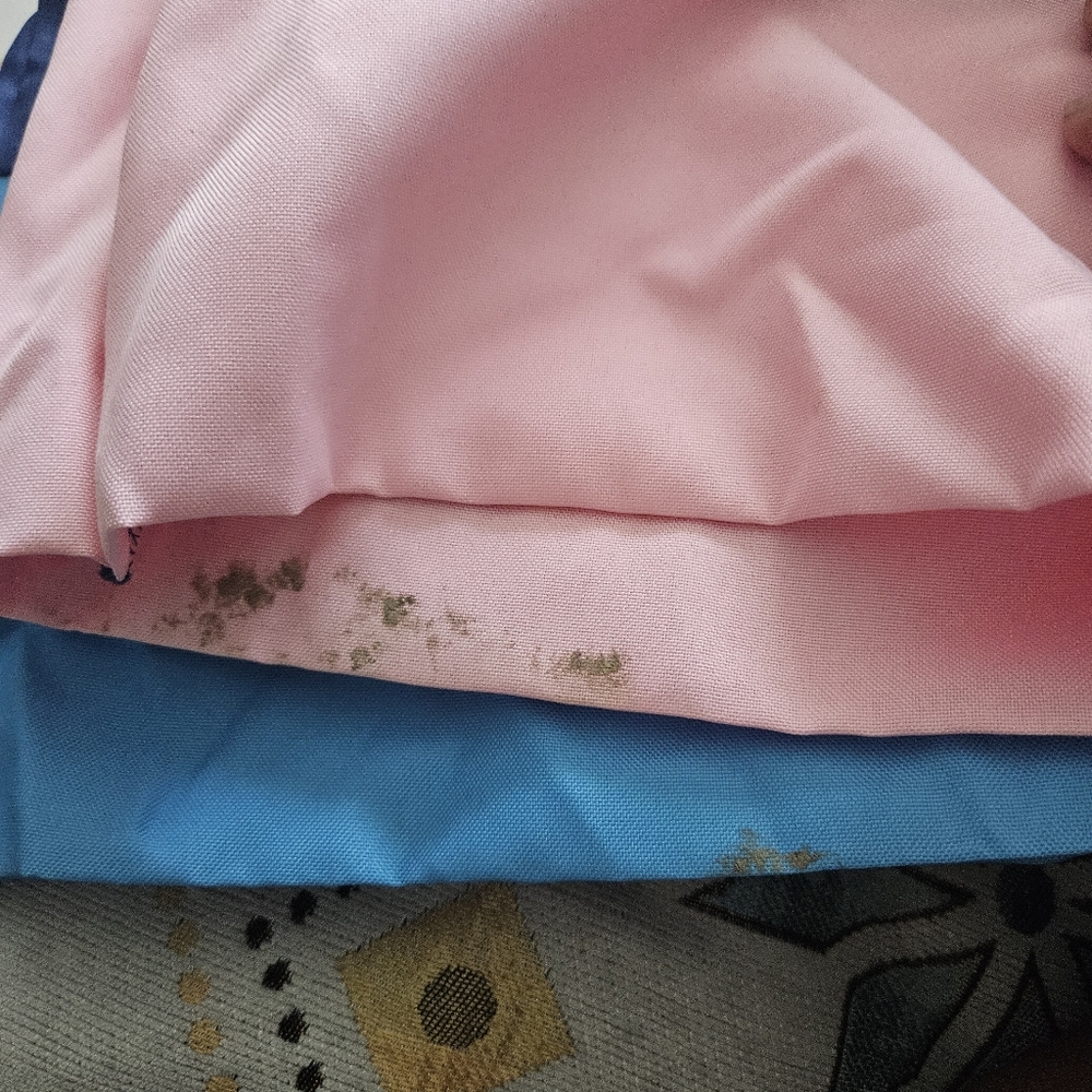 Peter Rabbit Costume - Picture 7 of 7